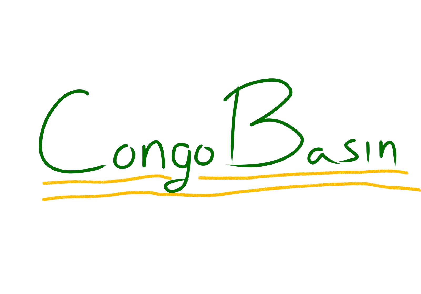 Congo Basin